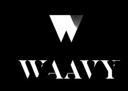 WAAVY LLC